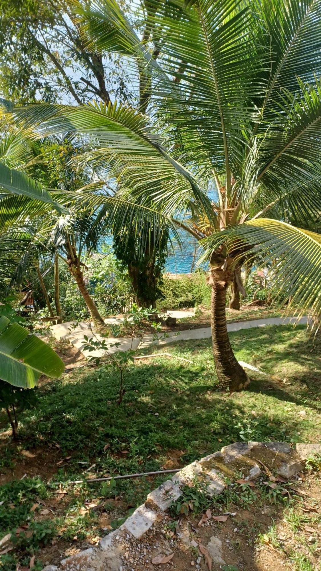 Saracura Hotell Praia de Araçatiba Eksteriør bilde